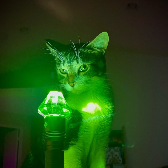 🤗 - Picture 13 of 17